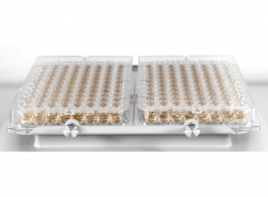 Мини-шейкер PSU-2Т для иммунологии со стандартной платформой IPP-2 (арт.BS-010155-AAG, BioSan)